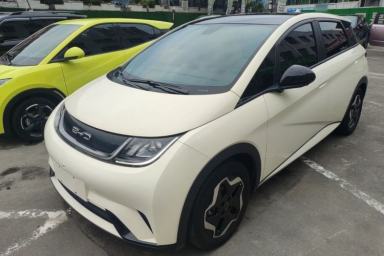 Used BYD Dolphin 2021 405 km Fashion Edition