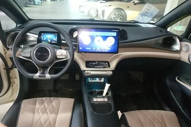 Used BYD Dolphin 2021 405 km Fashion Edition Center Console