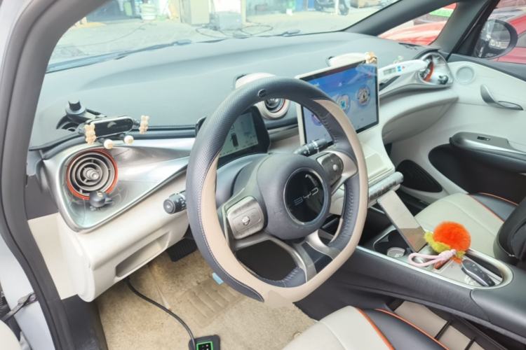 Used BYD Dolphin 2021 405 km Fashion Edition Center Console
