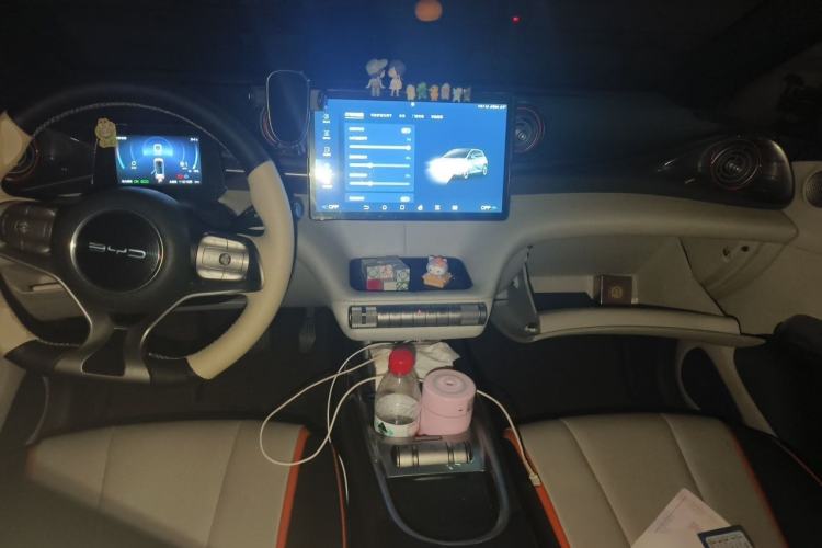 Used BYD Dolphin 2021 405 km Free Version Center Console