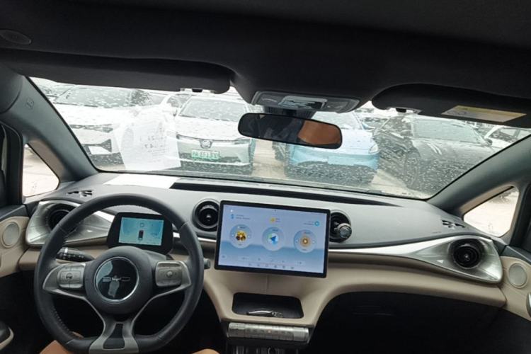 Used BYD Dolphin 2021 405 km Fashion Edition Center Console