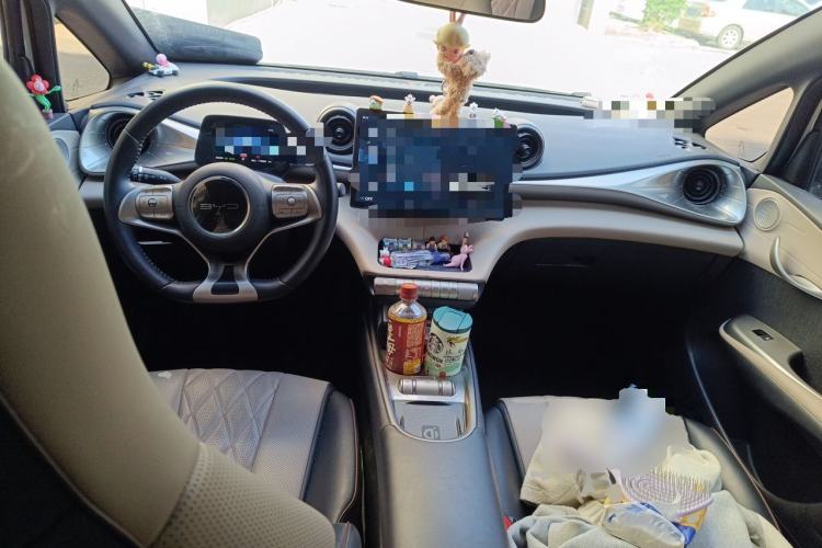Used BYD Dolphin 2021 405 km Fashion Edition Center Console