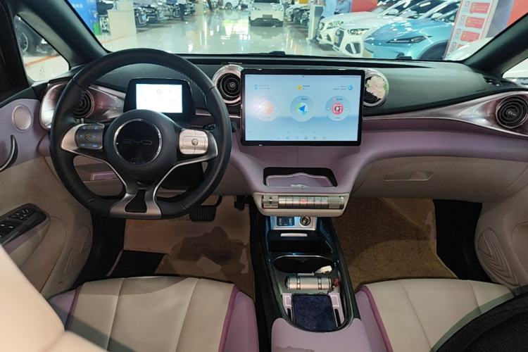 Used BYD Dolphin 2021 405 km Fashion Edition Center Console