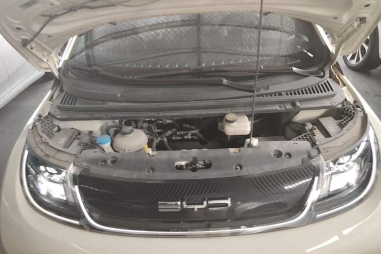 Used BYD Dolphin 2021 405 km Free Version Engine Bay