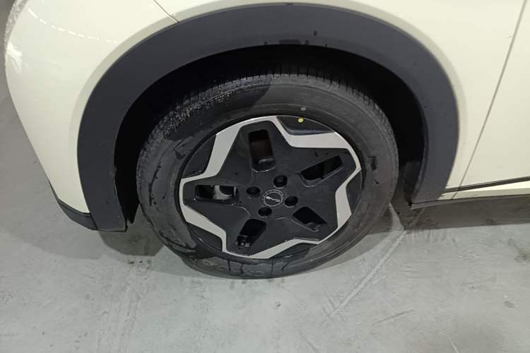 Used BYD Dolphin 2021 405 km Free Version Exterior 4