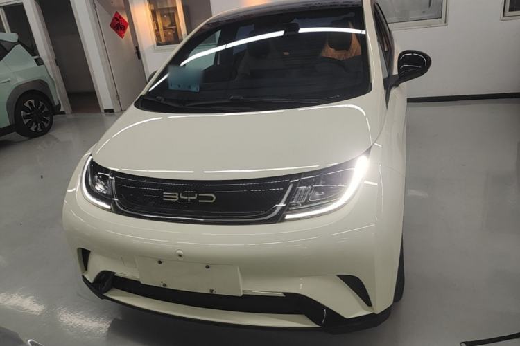 Used BYD Dolphin 2021 405 km Fashion Edition Front