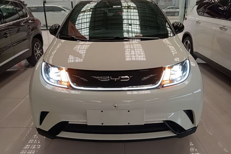 Used BYD Dolphin 2021 405 km Fashion Edition Front