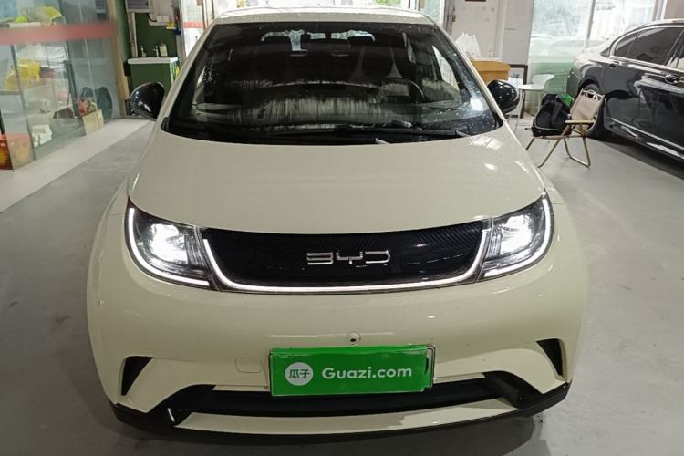 Used BYD Dolphin 2021 405 km Free Version Front