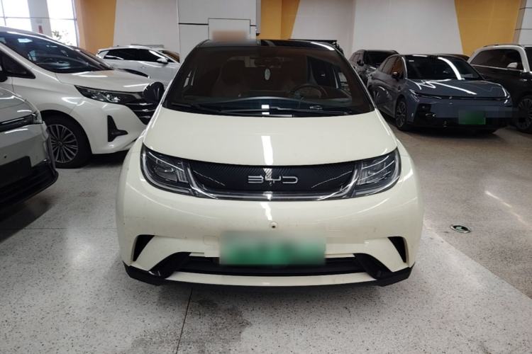 Used BYD Dolphin 2021 405 km Fashion Edition Front