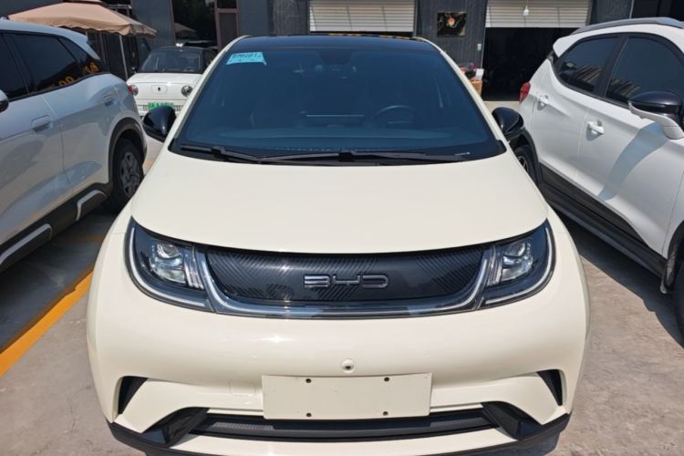 Used BYD Dolphin 2021 405 km Fashion Edition Front