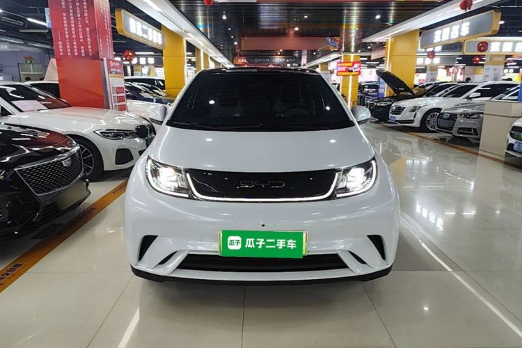 Used BYD Dolphin 2021 405 km Fashion Edition Front