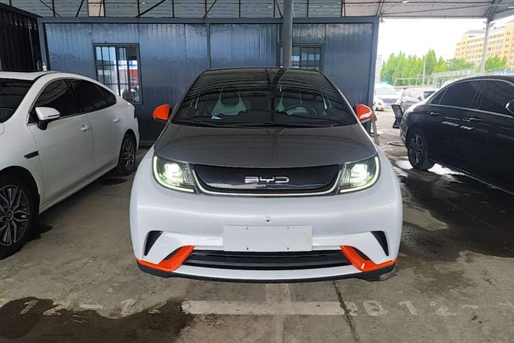 Used BYD Dolphin 2021 405 km Fashion Edition Front