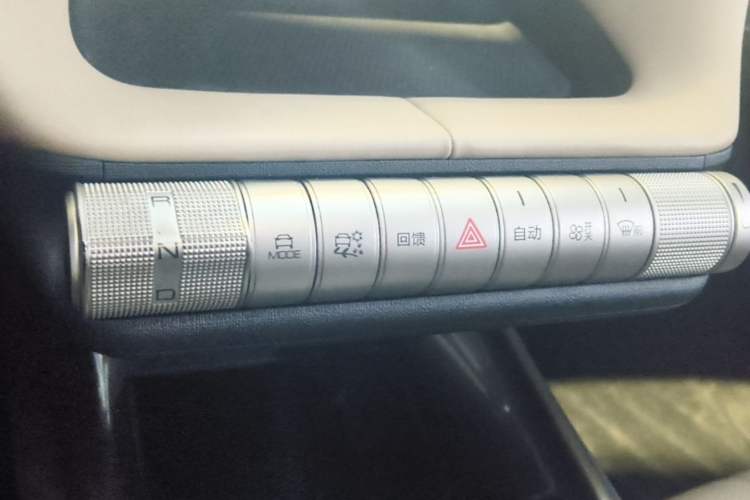 Used BYD Dolphin 2021 405 km Fashion Edition Gear Lever
