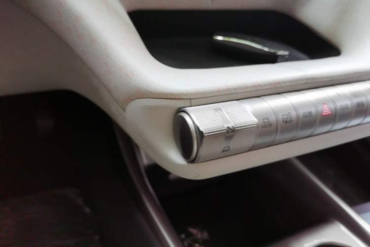 Used BYD Dolphin 2021 405 km Free Version Gear Lever