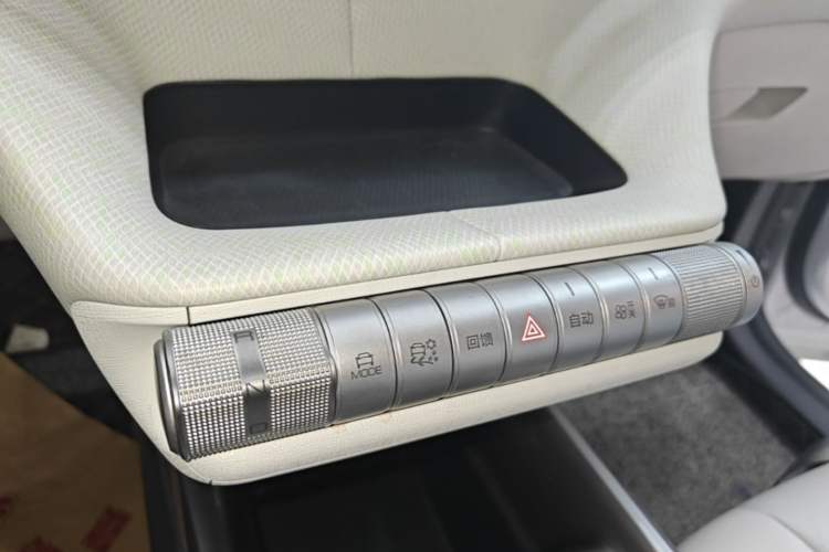 Used BYD Dolphin 2021 405 km Free Version Gear Lever
