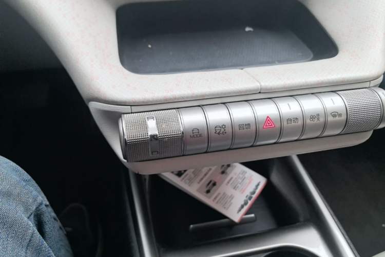Used BYD Dolphin 2021 405 km Fashion Edition Gear Lever