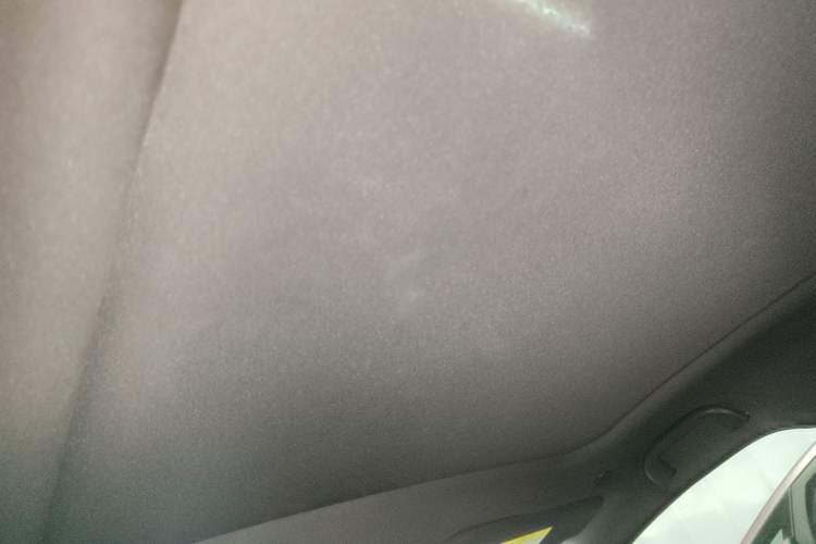 Used BYD Dolphin 2021 405 km Fashion Edition Headliner