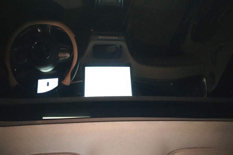 Used BYD Dolphin 2021 405 km Fashion Edition Headliner