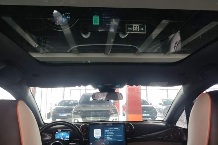 Used BYD Dolphin 2021 405 km Fashion Edition Headliner