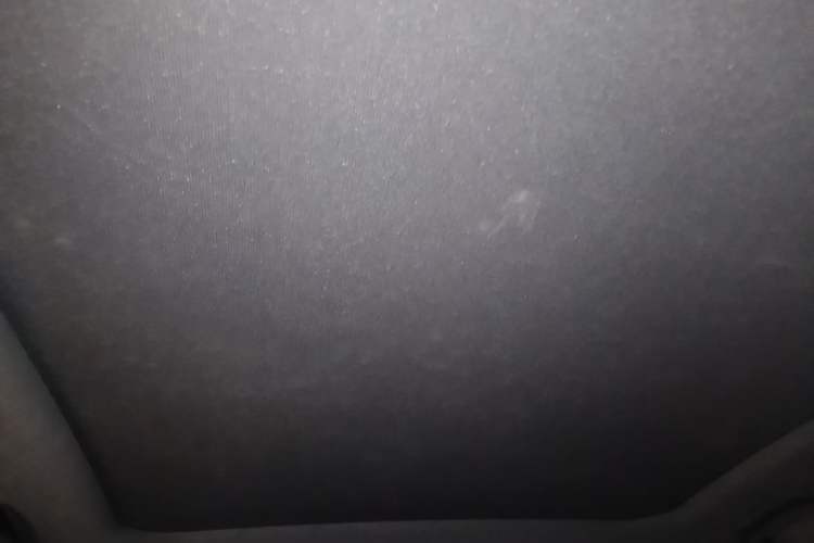 Used BYD Dolphin 2021 405 km Fashion Edition Headliner