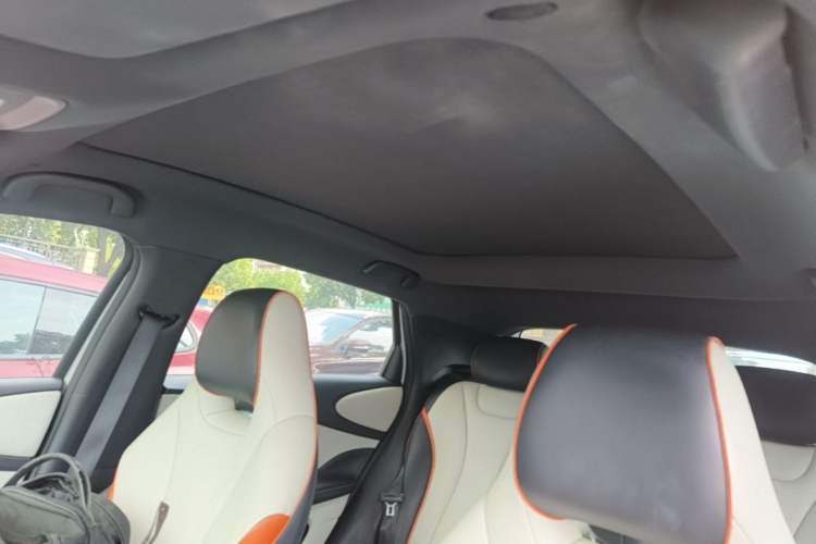 Used BYD Dolphin 2021 405 km Fashion Edition Headliner