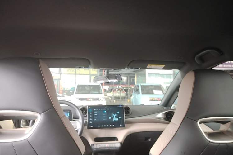 Used BYD Dolphin 2021 405 km Free Version Headliner