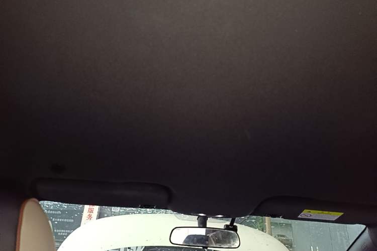 Used BYD Dolphin 2021 405 km Free Version Headliner