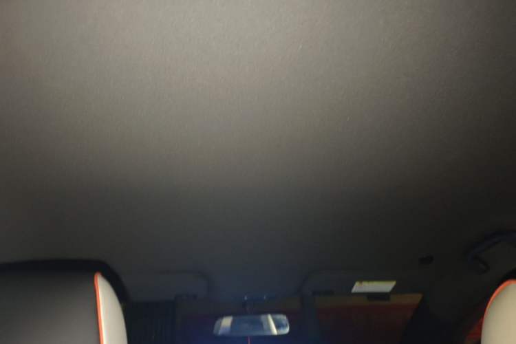 Used BYD Dolphin 2021 405 km Free Version Headliner