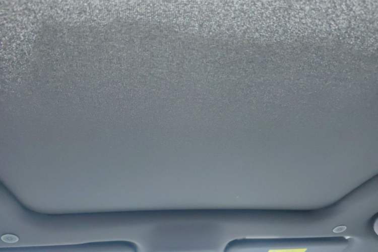 Used BYD Dolphin 2021 405 km Fashion Edition Headliner