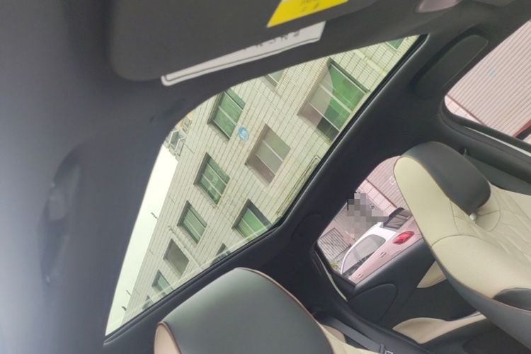 Used BYD Dolphin 2021 405 km Fashion Edition Headliner