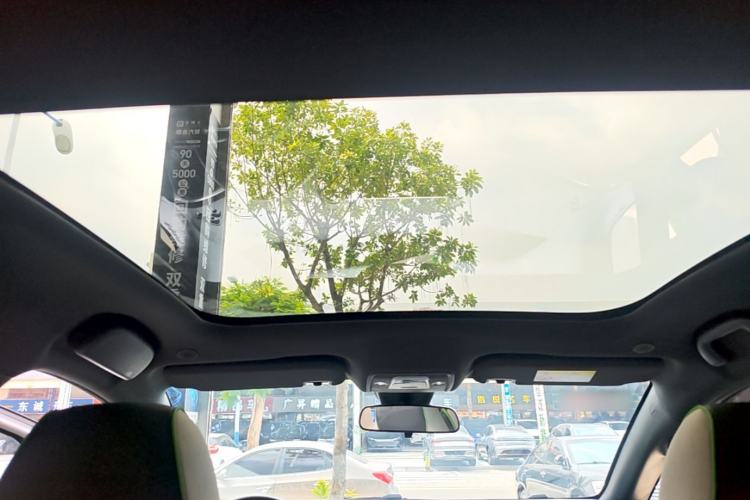 Used BYD Dolphin 2021 405 km Fashion Edition Headliner