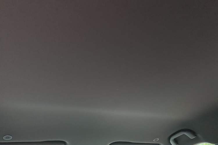 Used BYD Dolphin 2021 405 km Fashion Edition Headliner