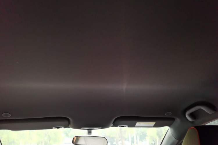 Used BYD Dolphin 2021 405 km Free Version Headliner