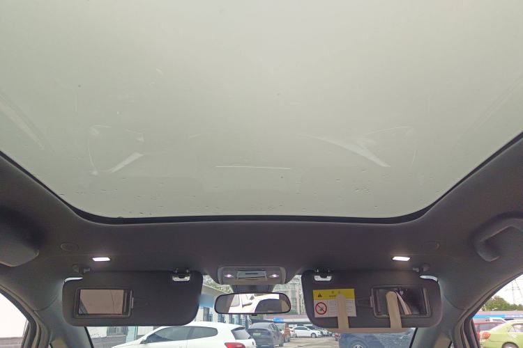 Used BYD Dolphin 2021 405 km Fashion Edition Headliner