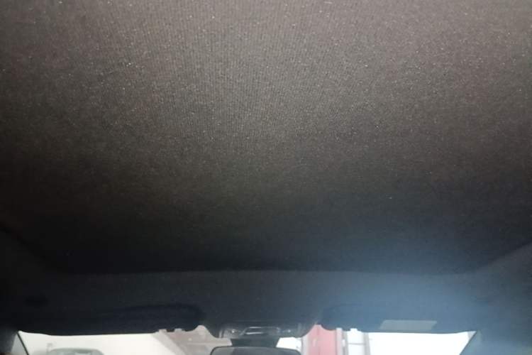 Used BYD Dolphin 2021 405 km Fashion Edition Headliner