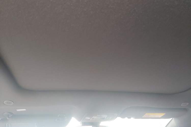 Used BYD Dolphin 2021 405 km Fashion Edition Headliner
