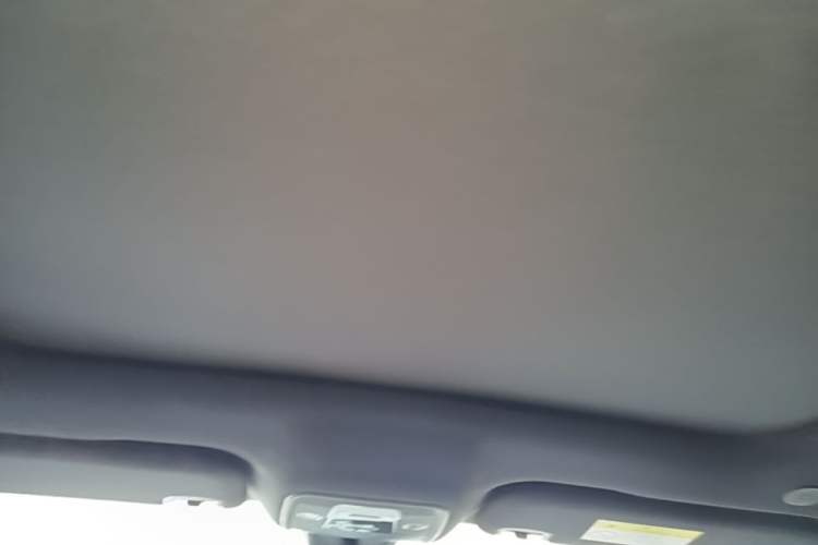 Used BYD Dolphin 2021 405 km Fashion Edition Headliner