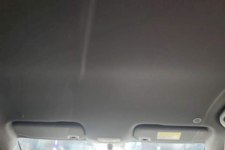 Used BYD Dolphin 2021 405 km Free Version Headliner