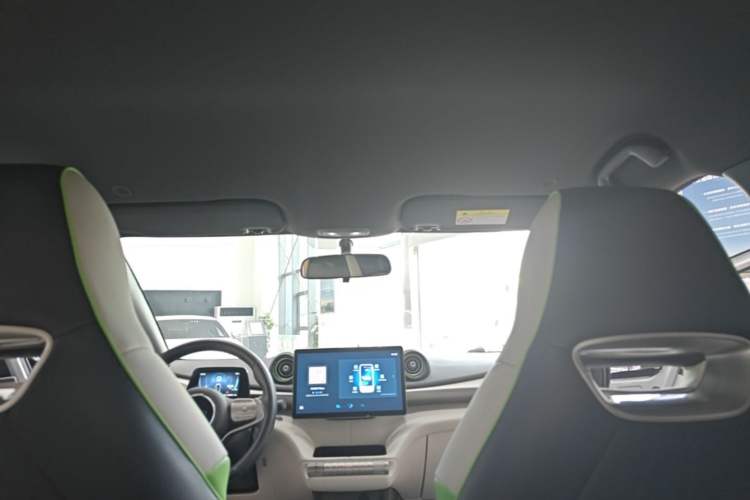 Used BYD Dolphin 2021 405 km Free Version Headliner