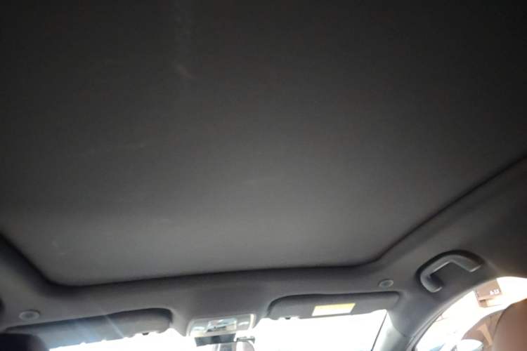 Used BYD Dolphin 2021 405 km Fashion Edition Headliner