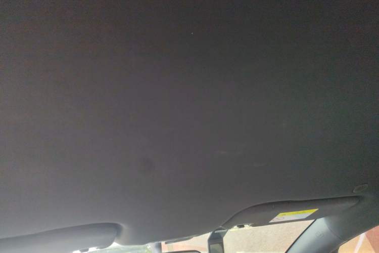 Used BYD Dolphin 2021 405 km Free Version Headliner