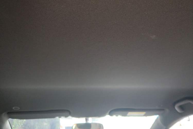 Used BYD Dolphin 2021 405 km Free Version Headliner