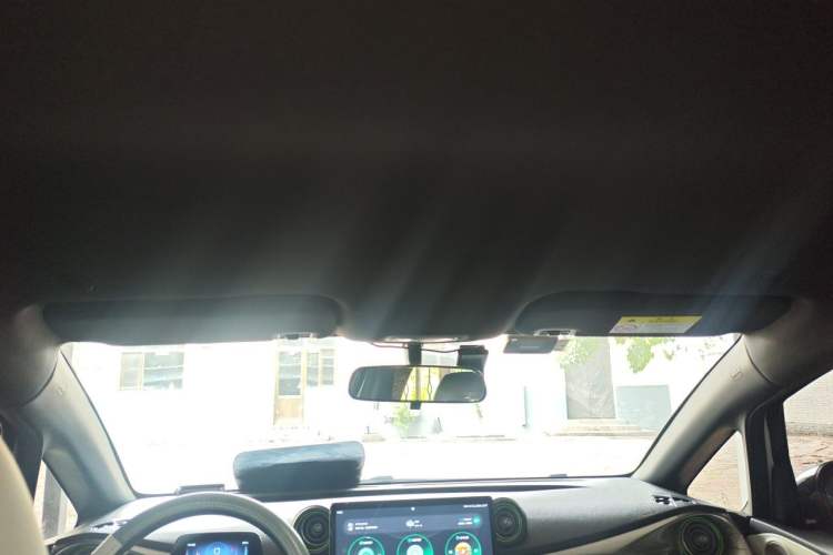 Used BYD Dolphin 2021 405 km Free Version Headliner
