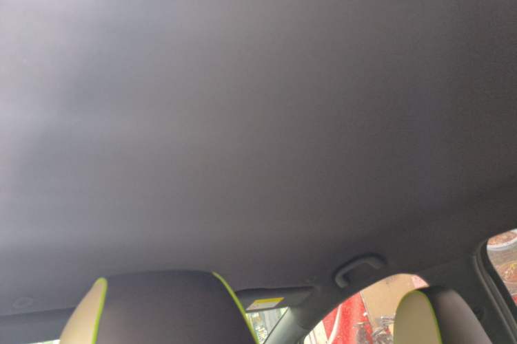 Used BYD Dolphin 2021 405 km Free Version Headliner