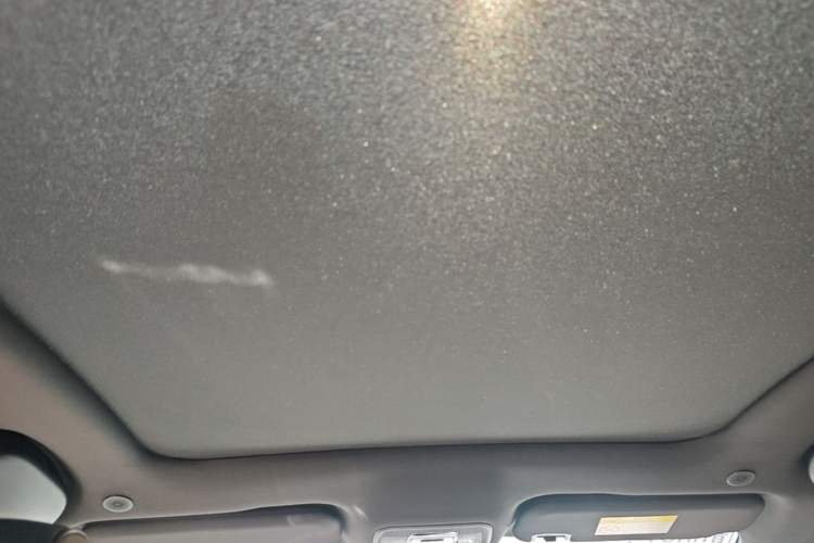 Used BYD Dolphin 2021 405 km Fashion Edition Headliner