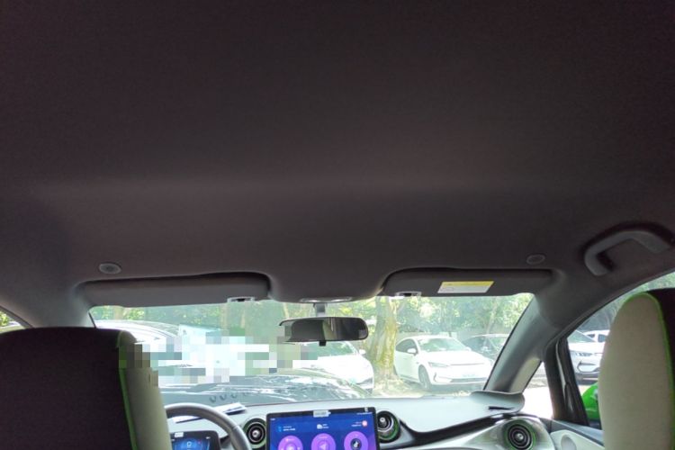 Used BYD Dolphin 2021 405 km Free Version Headliner