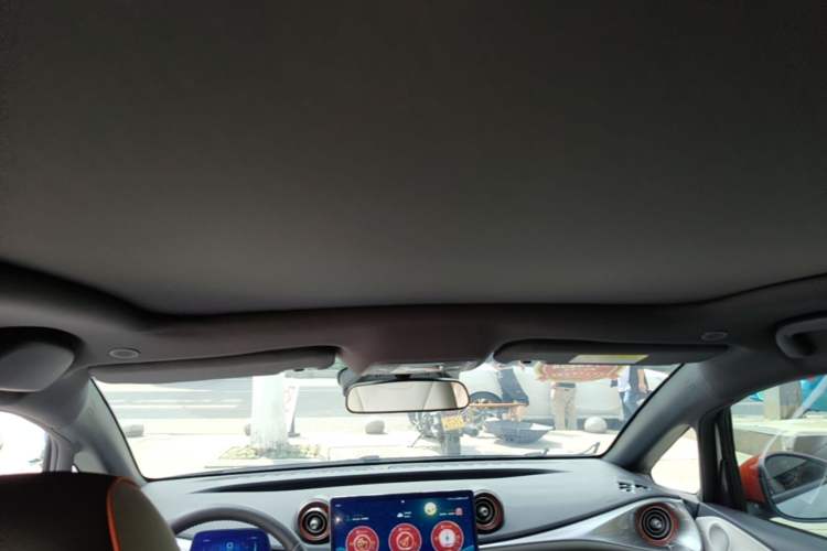 Used BYD Dolphin 2021 401km Knight Edition Headliner