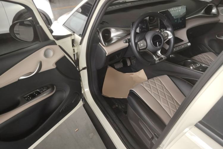 Used BYD Dolphin 2021 405 km Free Version Left Front Seat