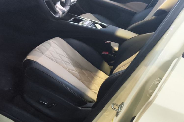 Used BYD Dolphin 2021 405 km Fashion Edition Left Front Seat