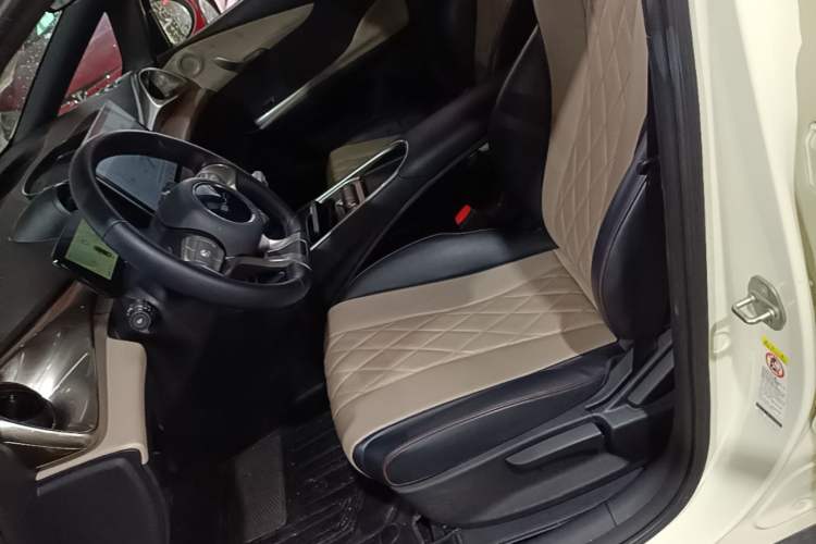 Used BYD Dolphin 2021 405 km Free Version Left Front Seat